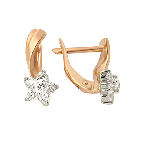 30044300 Серьги