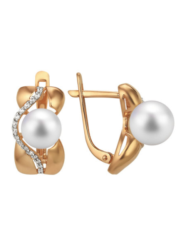 40069900 Серьги