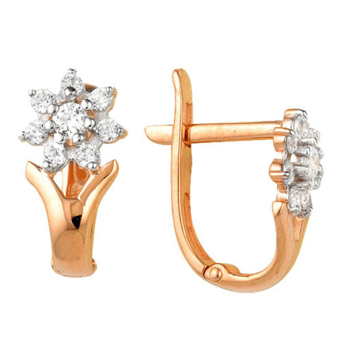 20069000 Серьги